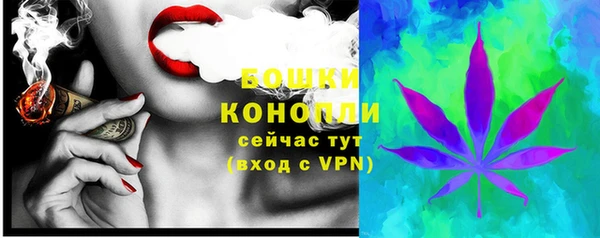 ПСИЛОЦИБИНОВЫЕ ГРИБЫ Баксан
